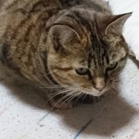 ねぬむぬにのぬな (@rjcsiwxd1vjkled) 's Twitter Profile