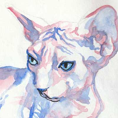 sphynxetさんのプロフィール画像