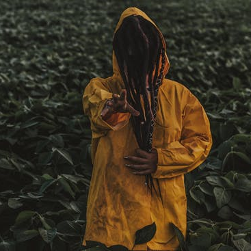 xML2x's profile picture. Unknown