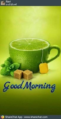 josecas74339948's profile picture. 