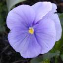 Da RT - @MariChacon10 - Twitter