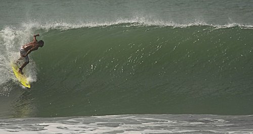 harryandriolo's profile picture. 