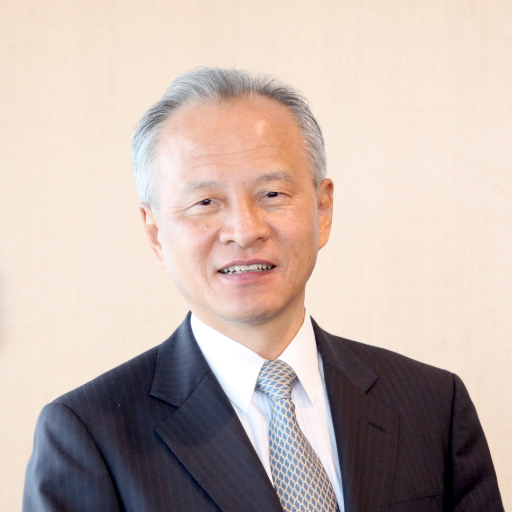 Cui Tiankai Profile