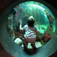 Nicholas Oliphant (@nickoliphant) 's Twitter Profile