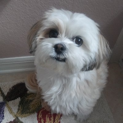 Come Check out Chloe Da Baby Girl on YouTube. In Chloe's Skit's you will find out that she is always up to something silly. Her YouTube Channel is below