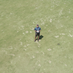David McCall (@vtturfpath) Twitter profile photo David McCall (@vtturfpath) Twitter profile photo