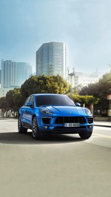 pardajack's profile picture. 