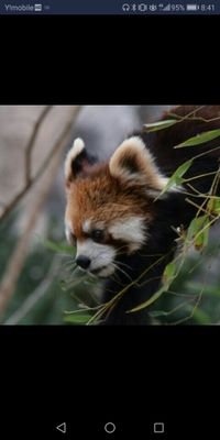 JavaからRubyへ 。新規開発・新規プロダクト5~6個くらいぶんまわしてる自称 エンジニア。毛布に包まれて寝たい。
発言は所属団体とは一切関係ない個人の見解です