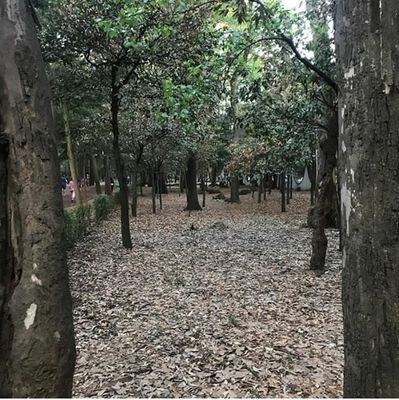 paco2532's profile picture. 