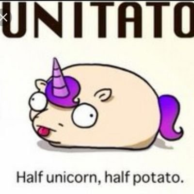 TurdUnicorns's profile picture. hi