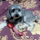 Genaro Reyes - @GenaroR12556055 - Twitter