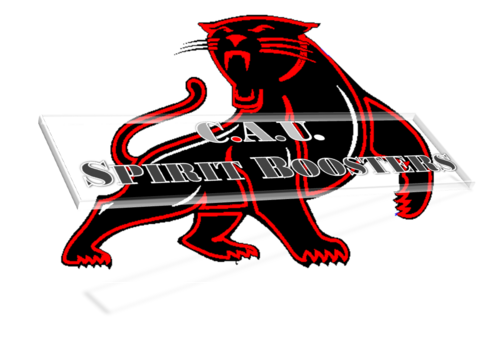 SpiritBoosters's profile picture. 