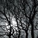 Ryan McKown - @RyanLessTraveld - Twitter