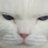 chcrrylips's profile image