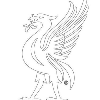 romah's profile picture. Reds and Politics. That about sums it up.