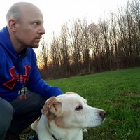 ccummins (@chriscummins100) 's Twitter Profile