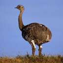 Brian Dupre - @oax78 - Twitter