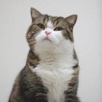To-E-YO (@toeyo13) 's Twitter Profile
