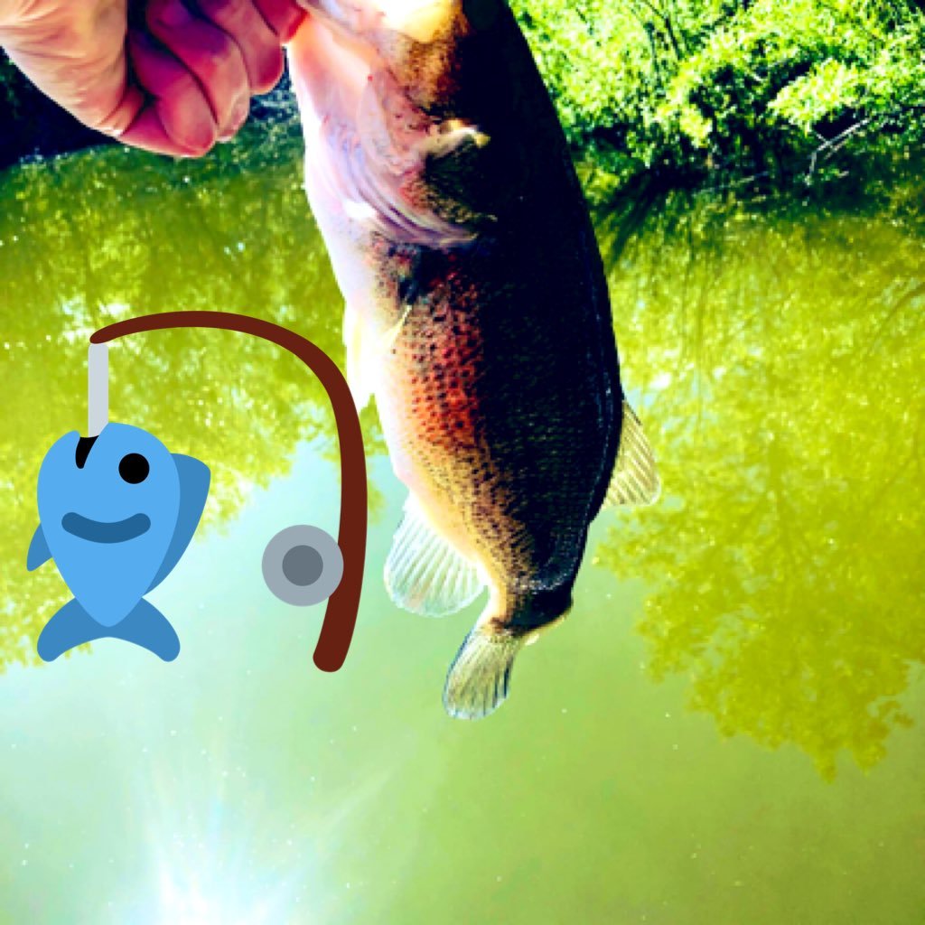 Fishing and Basketball. Saints are my team. Current sophomore at Stphs. Hit me up!!
🏀🎣