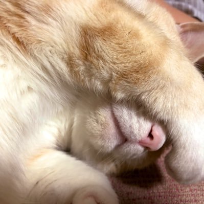 mel84521440's profile picture. 