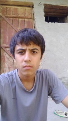 ShahbozGurbatov's profile picture.