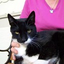 Beryl Gilbert - @berylbirdie - Twitter