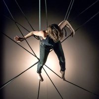 Raphaëlle Boitel (@cie_loubliee) 's Twitter Profile