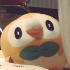 Rowlett62662742's profile picture. Just a regular pokemon. In a relationship with @TheChaosSpirit