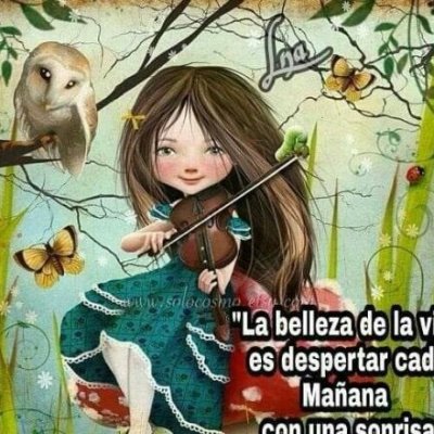 Amante de Dios, su Hijo Amado y su Santo Espiritu.
@conMisHijosNOte metas, @sialas dos vidas, ###NO AL ABORTO
#NOAgendadeAdoctrinamientoInfantil