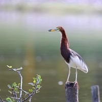 yfunzh's profile picture. 