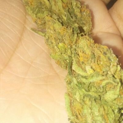 NukeHome's profile picture. 