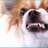 Michel79161182's profile image