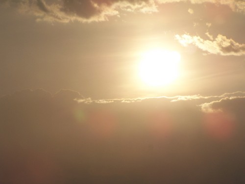 Things_I_Heard's profile picture. 