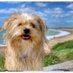 KilmoreQuay (@lovekilmorequay) Twitter profile photo KilmoreQuay (@lovekilmorequay) Twitter profile photo