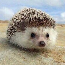 tempy81633948's profile picture. 一時なの！