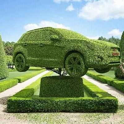 JumanneAbdilah's profile picture. turnips