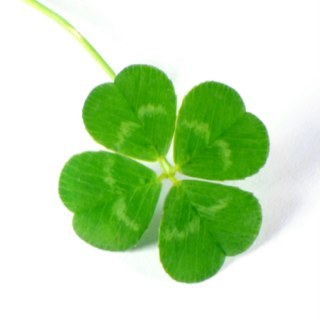 daisy058's profile picture. 