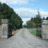 CastletownStud's profile image