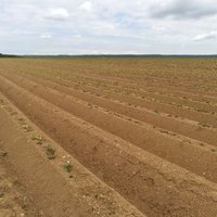 Dufosse Frédéric (@dufossefrdric3) 's Twitter Profile