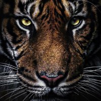 KAY (@da_kebble7) 's Twitter Profile Photo KAY (@da_kebble7) 's Twitter Profile Photo