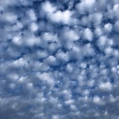 ylilywhy's profile picture. 