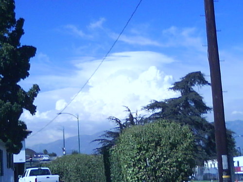 jinnie0803's profile picture. 