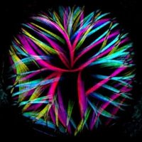 Matthieu Gélin (@gelinmatthieu) 's Twitter Profile