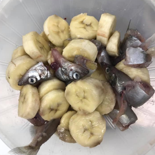 Driss_Marley's profile picture. 