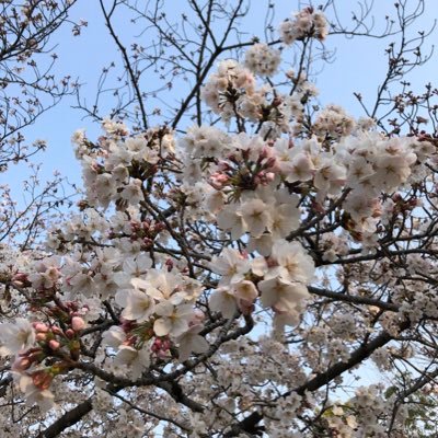 2018x1001's profile picture. １児のシングルマザー👩‍👦 プレゼントキャンペーンRTしてます✨ポケgoやってます🇯🇵