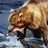 Bossbull's profile image