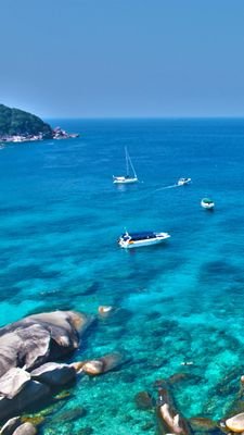 steel50587586's profile picture. novel