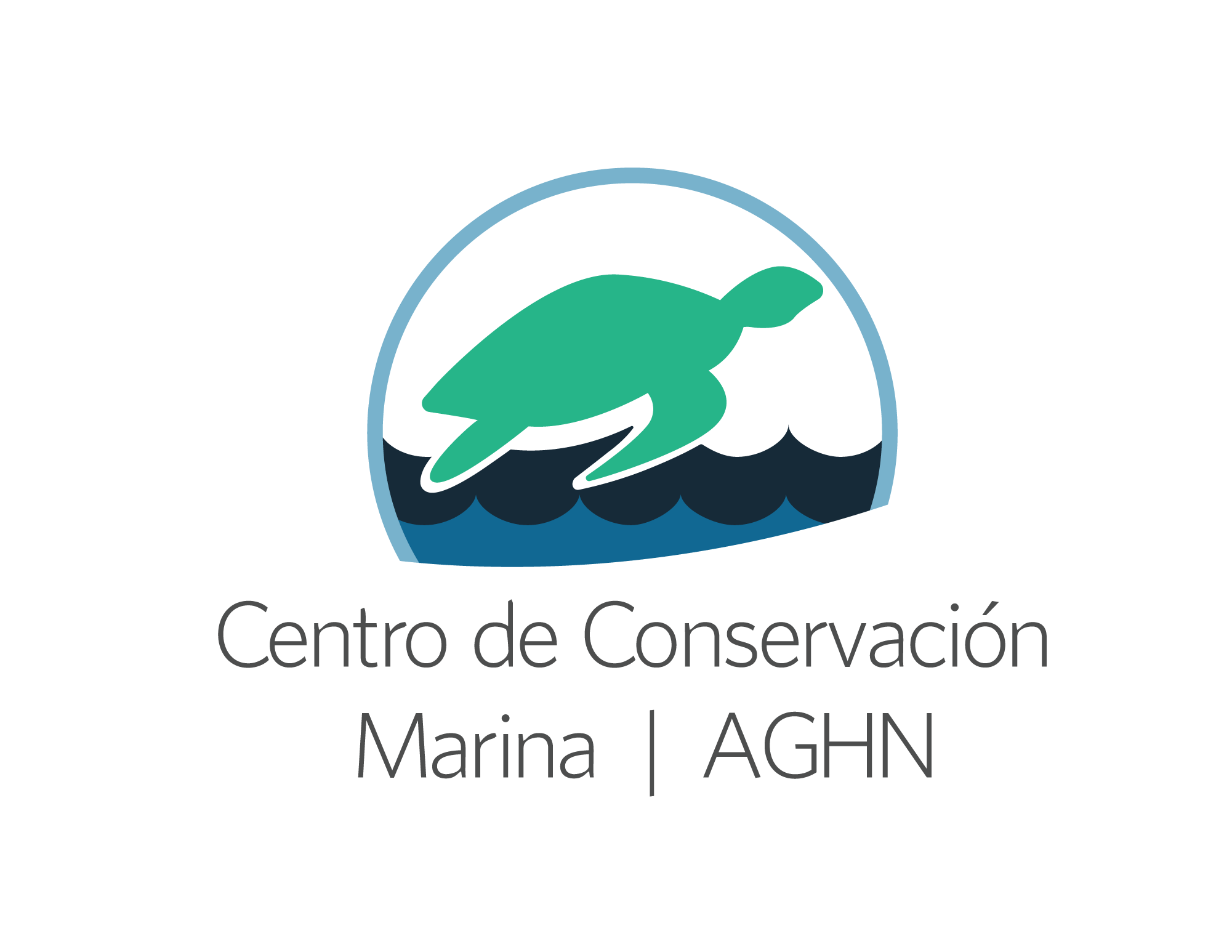 Somos un centro dedicado a la educación, investigación y conservación de tortugas marinas y el ecosistema marino que las rodea.