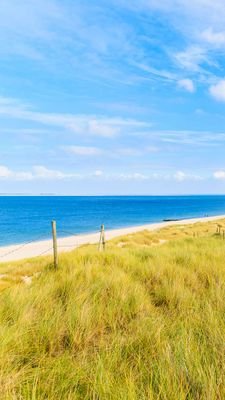 Anu69871735's profile picture. 