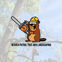 Beaver Patrol Tree and Landscaping (@patroltree) 's Twitter Profile